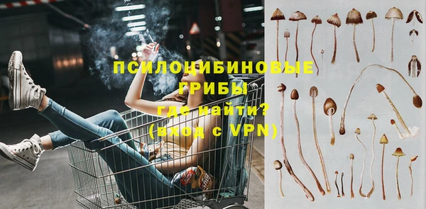 трава Беломорск