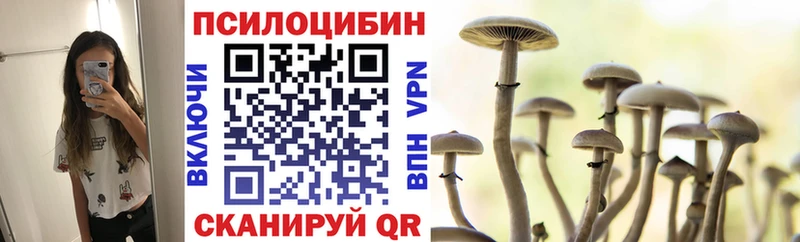 Галлюциногенные грибы Psilocybine cubensis  где купить наркоту  Чистополь 